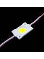 Светодиодный модуль BRT COB 2,4W DC 12V IP65 6500K белый (LM-12-2.4-COB-4530-CW), 100003877