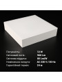 Світильник світлодіодний Biom NL 230V 12W 5000K IP20 білий (NL-1-S12-W-5) , 100025791