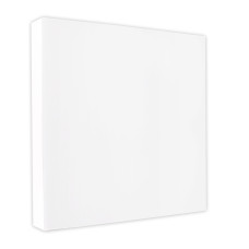 Светильник светодиодный Biom NL 230V 24W 5000K IP20 белый (NL-1-S24-W-5)
