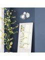 Бра Candellux VERVE (91-61331) , 100025426