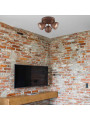 Спот Candellux FRODO (98-71095) , 100025489