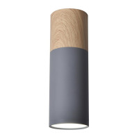 Точковий світильник Candellux TUBA Grey (2284286)