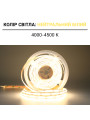 Светодиодная лента BIOM Professional COB-480-12V-IP33 12,5W 1480Lm 4000-4500K 5м (BPS-G4-12-8-COB-480-NW), 100027344