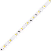 Світлодіодна стрічка COLORS 2835-60-12V-IP20 4.4W 500Lm 6000K 50м (DJ60-12V-8mm-W8_DP50)