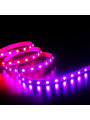Світлодіодна стрічка COLORS 5050-60-12V-IP20 8.4W SMART RGB-SPI 5м (DS560RGB-12V-10mm) , 100028251