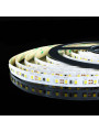 Світлодіодна стрічка Mi-light 2835-120 6000K DC 12V негерметична (MI-LED-S120СW-1220-R) , 100022558