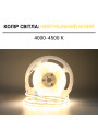 Светодиодная лента OEM ST COB-320-12V-IP33 10W 1290Lm 4000-4500Lm 5м (ST-12-8-COB-320-NW), 100027338