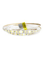 Светодиодная лента RISHANG 120-2835-12V-IP33 8,6W 785Lm 6000К 5м (RD08C0TA-B-W), 100022377