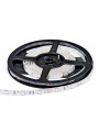 Светодиодная лента RISHANG 30-5050-12V-IP33 6,5W RGB 5м (RD0030AQ-RGB), 100022336