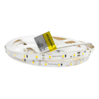 Светодиодная лента RISHANG 60-2835-12V-IP33 6W 535Lm 6000К 5м (RD0860TA-B-W)