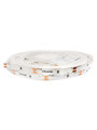 Светодиодная лента RISHANG 60-2835-12V-IP33 6W 71Lm Red 5м (RD0860TA-B-R), 100022364