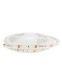 Светодиодная лента RISHANG 60-2835-12V-IP67 5,5W 400Lm 4000К 5м (RN3060TA-B-NW), 100022437