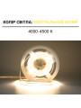 Светодиодная лента BIOM Professional COB-400-24V-IP33 7W 700Lm 4000-4500K 5м (BPS-G4-24-3-COB-400-NW-20), 100027350