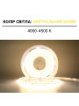Светодиодная лента BIOM Professional COB-480-24V-IP33 12,5W 1480Lm 4000-4500K 10м (BPS-G4-24-COB-480-NW-20), 100027347