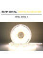 Светодиодная лента OEM ST COB-320-24V-IP33 10W 1290Lm 4000-4500K 10м (ST-24-8-COB-320-NW), 100027341