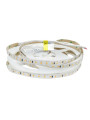 Светодиодная лента RISHANG 120-2835-24V-IP65 8,6W 630Lm 6500К 5м (RD60C0TC-B-W), 100022396