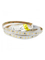 Светодиодная лента RISHANG 128-2835-24V-IP20 12W 1730Lm 2700К 5м (RD00C8TC-A-SW), 100022350