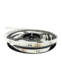 Світлодіодна стрічка RISHANG 60-2835-24V-IP20 12W 956Lm 3000К 5м (RN0060TC-A-WW) , 100022406