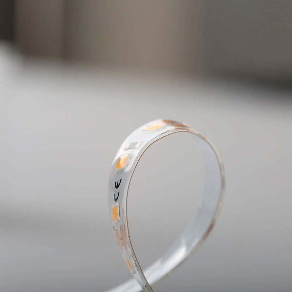 Светодиодная лента RISHANG 60-2835-24V-IP65 5,5W 352Lm 3000К 5м (RN6060TC-B-WW), 100022427