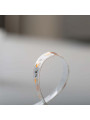 Светодиодная лента RISHANG 60-2835-24V-IP65 5,5W 352Lm 3000К 5м (RN6060TC-B-WW), 100022427