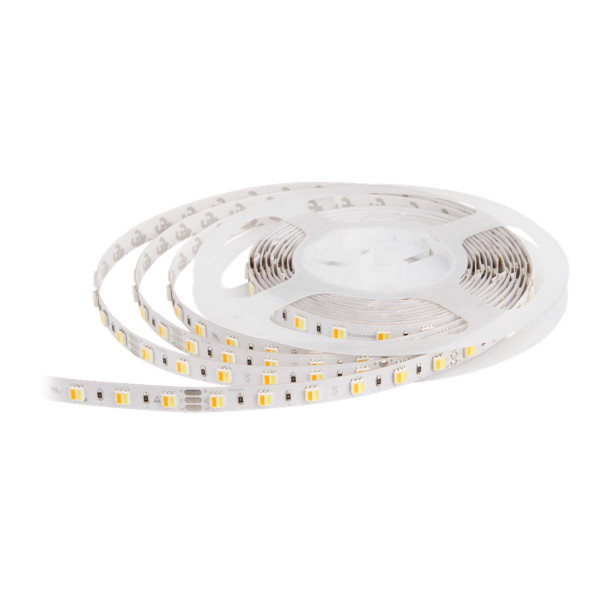Светодиодная лента RISHANG 60-3528/5050-24V-IP33 10,8W 920+970Lm 2700+6500К 5м (RD0060AC-B-SW-W), 100022337