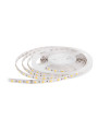 Светодиодная лента RISHANG 60-3528/5050-24V-IP33 10,8W 920+970Lm 2700+6500К 5м (RD0060AC-B-SW-W), 100022337