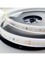 Термостійка стрічка COLORS 3030-80-24V-IP65 4.8W 607Lm 2700K 5м (DS980-24V-10mm-IP65-SW) , 100028284