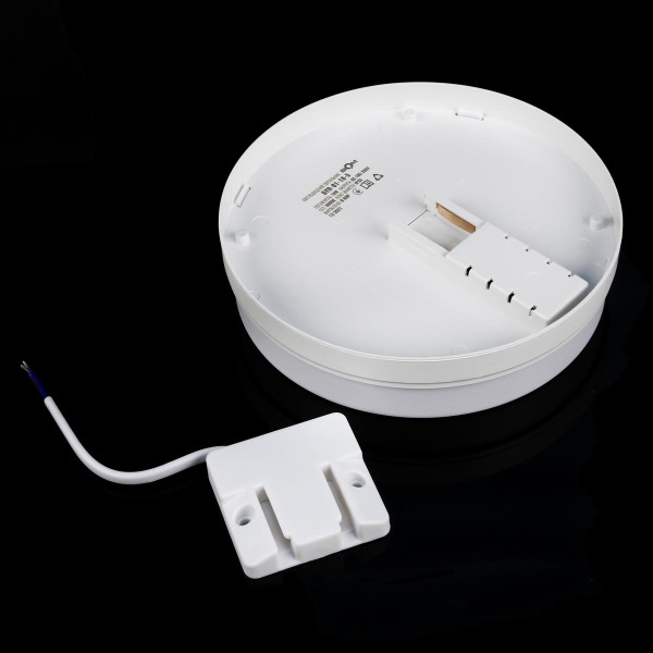 Накладной светильник Biom BY 220V 18W 5000K 1620Lm IP33 Матовый (Frosted) (BYR-01-18-5), 100022142