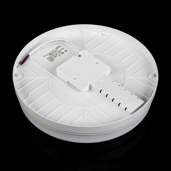 Накладной светильник Biom BY 220V 24W 5000K 2160Lm IP33 Матовый (Frosted) (BYR-01-24-5), 100022143