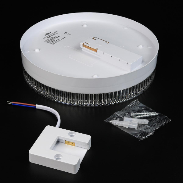 Накладной светильник Biom BY 220V 24W 5000K 2160Lm IP20 Матовый (BYR-03-24-5), 100023413