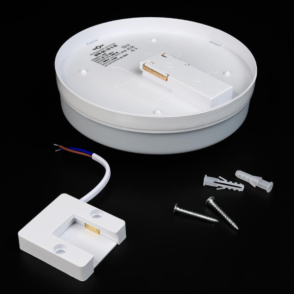 Накладной светильник Biom BY 220V 18W 5000K 1600Lm IP33 Матовый (Frosted) (BYR-04-18-5-IR), 100023417