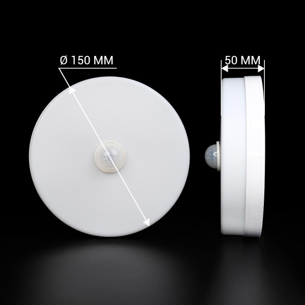 Накладной светильник Biom BY 220V 18W 5000K 1600Lm IP33 Матовый (Frosted) (BYR-04-18-5-IR), 100023417