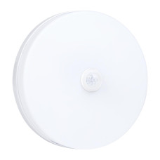 Накладной светильник Biom BY 220V 24W 5000K 2150Lm IP33 Матовый (Frosted) (BYR-04-24-5-IR)