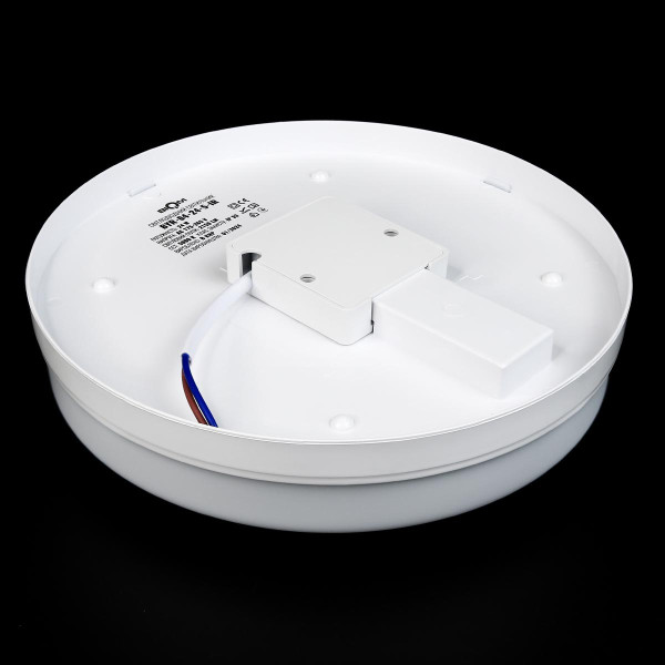 Накладной светильник Biom BY 220V 24W 5000K 2150Lm IP33 Матовый (Frosted) (BYR-04-24-5-IR), 100023483