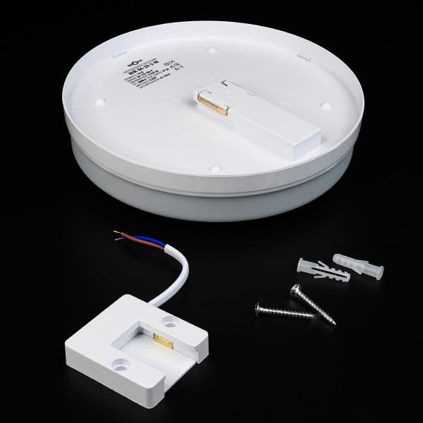 Накладной светильник Biom BY 220V 24W 5000K 2150Lm IP33 Матовый (Frosted) (BYR-04-24-5-IR), 100023483