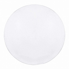 Потолочный светильник Biom DL 230V 30W 5000K IP20 без д/у (DL-R106-30-5)