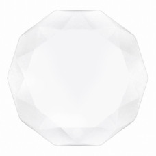 Накладной светильник Biom DECOLIGHT 220V 24W 6200K 1920Lm IP20 Матовый (Frosted) (DL-R201-24-6)