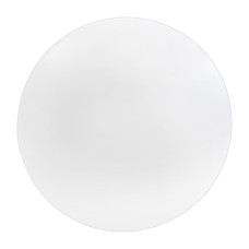 Накладной светильник Biom DECOLIGHT 220V 10W 6200K 810Lm IP20 Матовый (Frosted) (DL-R401-10-6)