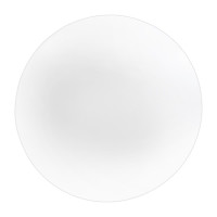 Накладной светильник Biom DECOLIGHT 220V 24W 6200K 1920Lm IP20 Матовый (Frosted) (DL-R401-24)