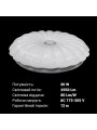 Потолочный светильник Biom DL 230V 30W 6000K IP20 без д/у (DL-R605-30), 100023975
