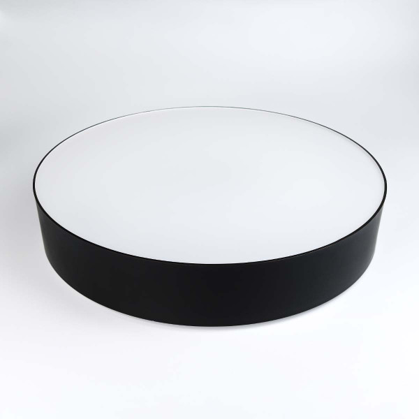 Потолочный светильник Biom DL 230V 45W 5000K IP20 без д/у (DL-R801-45), 100023903