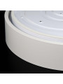 Потолочный светильник Biom DL 230V 80W 5000K IP20 без д/у (DL-R802-80), 100023912