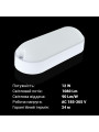 Накладной светильник Biom MPL 220V 12W 6000K 1080Lm IP65 Матовый (Frosted) (MPL-О12-6), 100017816