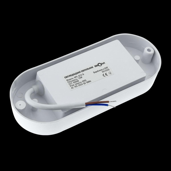 Накладной светильник Biom MPL 220V 12W 6000K 1080Lm IP65 Матовый (Frosted) (MPL-О12-6), 100017816