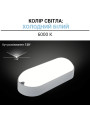 Накладной светильник Biom MPL 220V 12W 6000K 1080Lm IP65 Матовый (Frosted) (MPL-О12-6), 100017816