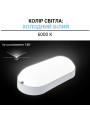Накладной светильник Biom MPL 220V 18W 6000K 1620Lm IP65 Матовый (Frosted) (MPL-О18-6), 100017817