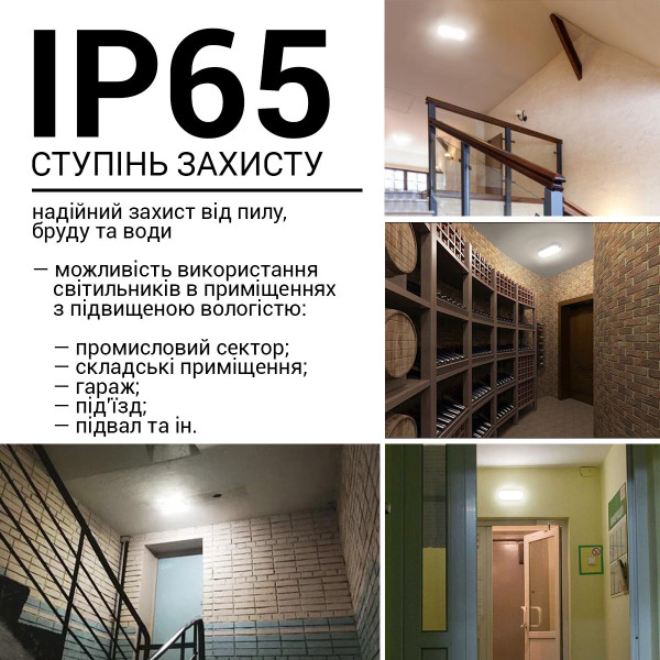 Накладной светильник Biom MPL 220V 9W 6000K 810Lm IP65 Матовый (Frosted) (MPL-О9-6), 100017815