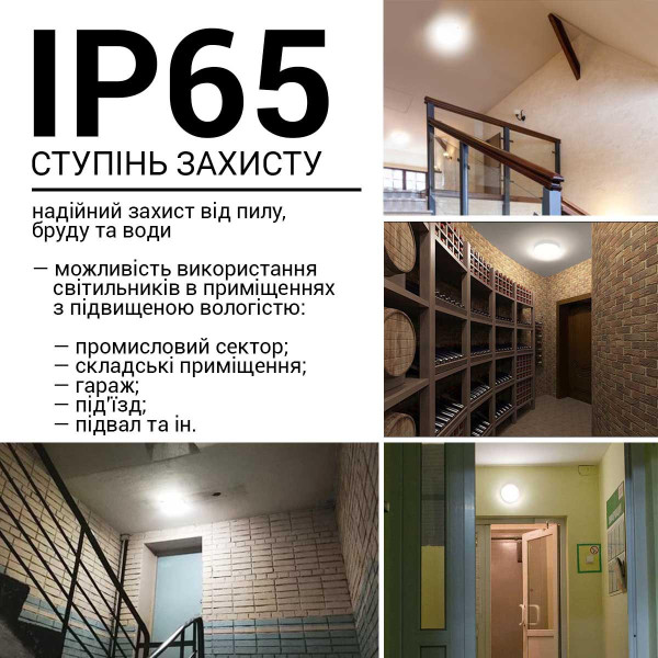 Накладной светильник Biom MPL 220V 12W 6000K 1080Lm IP65 Матовый (Frosted) (MPL-R12-6), 100017813