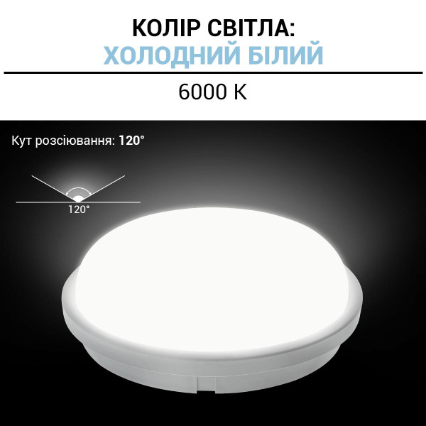 Накладной светильник Biom SMPL 220V 20W 6000K 1800Lm IP65 Матовый (Frosted) (SMPL-R20-6), 100017819