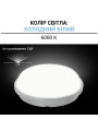 Накладной светильник Biom SMPL 220V 20W 6000K 1800Lm IP65 Матовый (Frosted) (SMPL-R20-6), 100017819